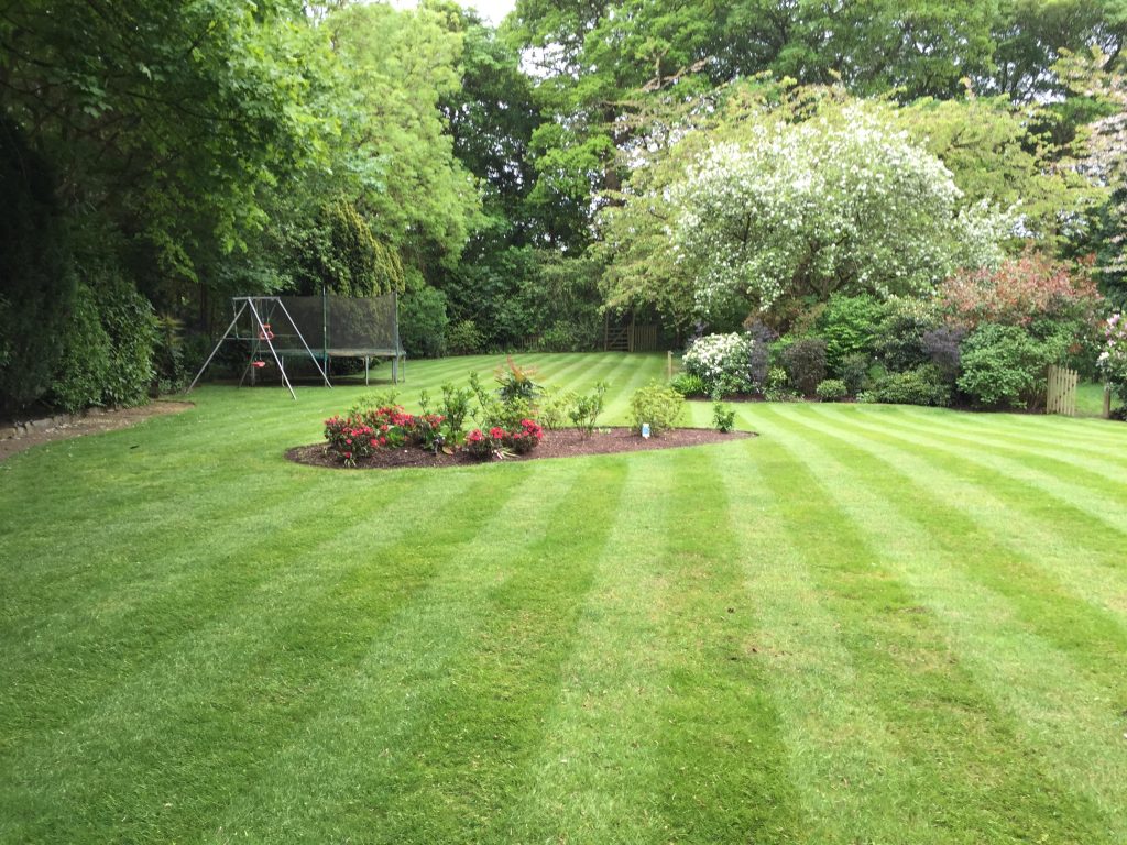 Landscape Background