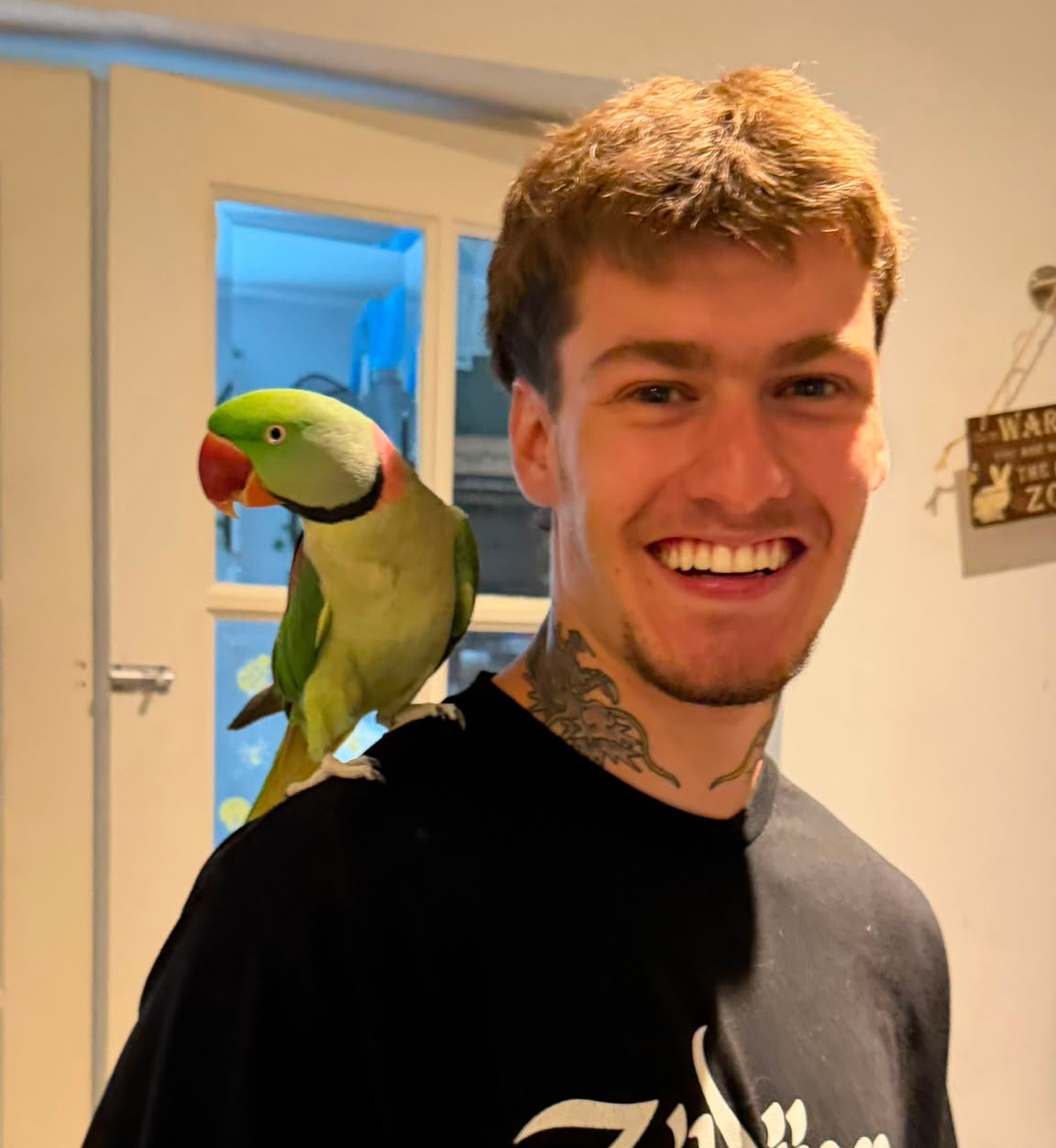 Toby