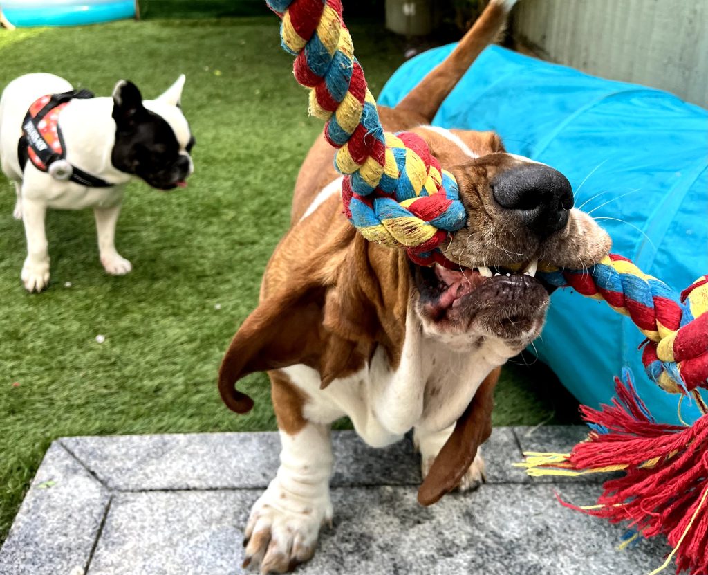 Lunch & Play