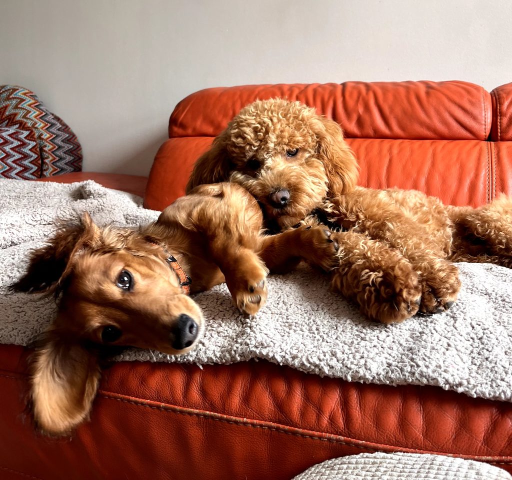 Nap & Rest Time