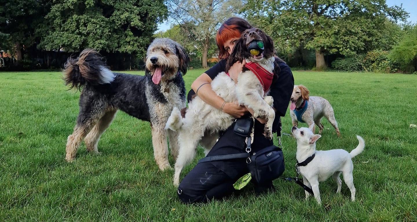 Dog walking with PetStop London