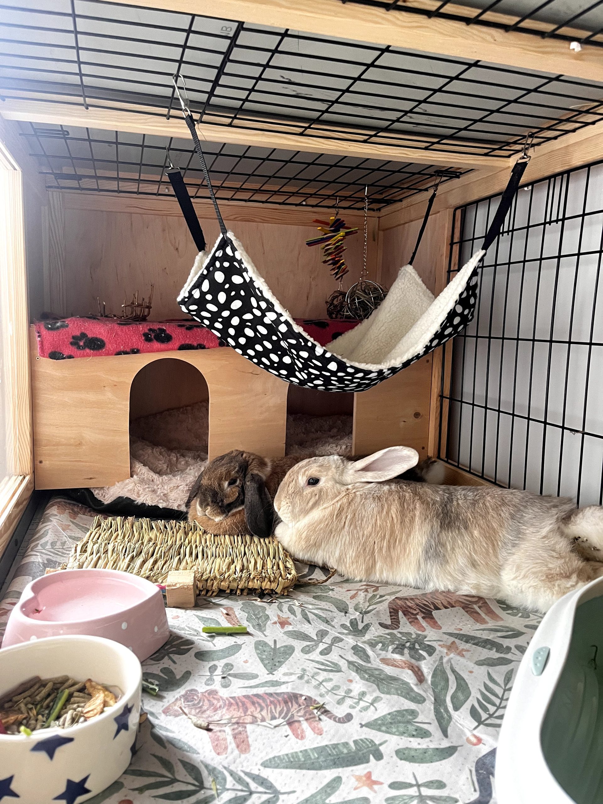 Cosy boarding enclosures
