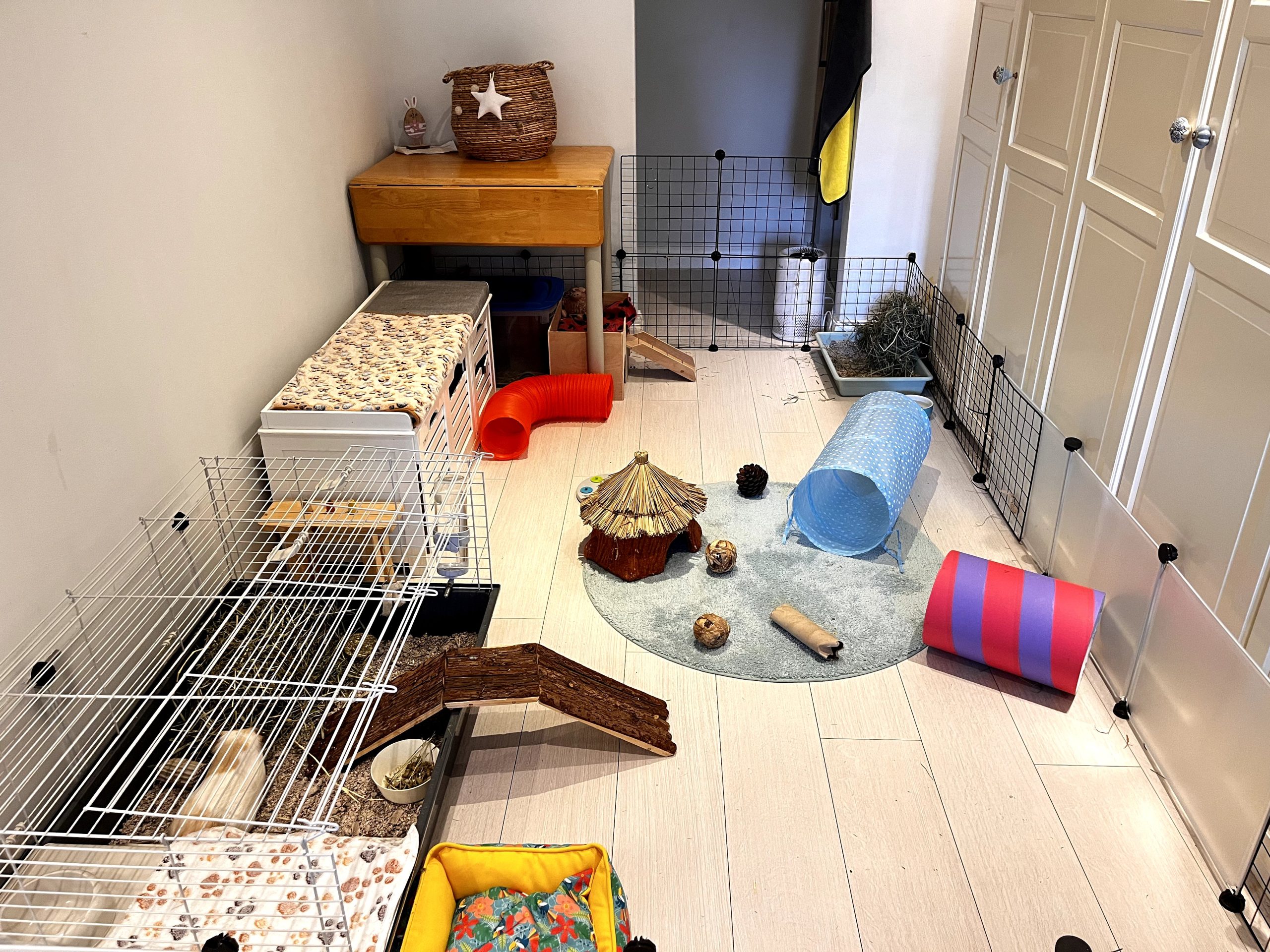 Small animals setup at Petstop