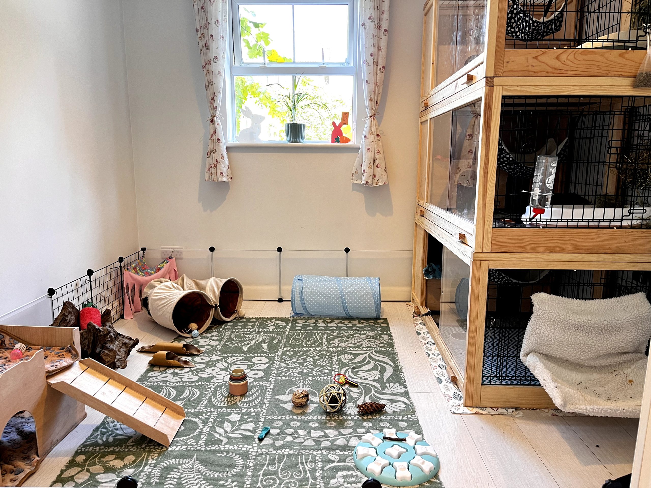 Small pets dedicated area